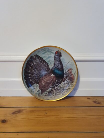 Gamebirds of the World, Kinesisk ringhalset fasan