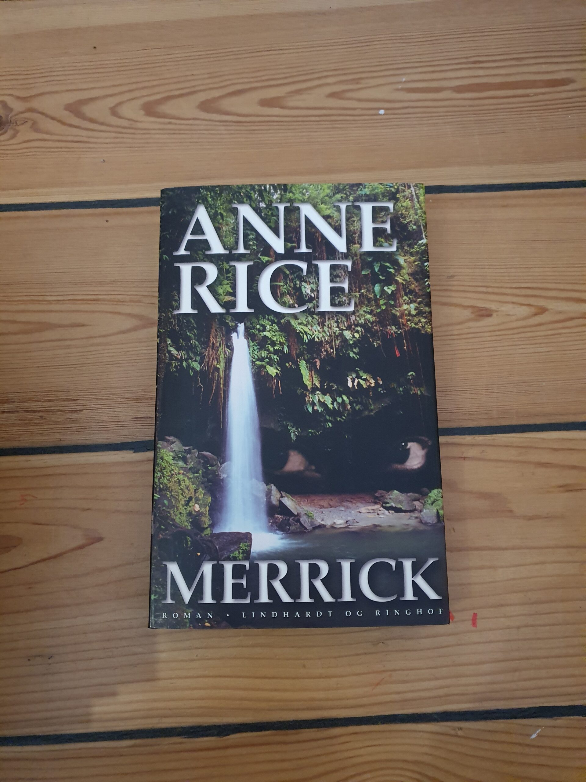Merrick. Anne Rice – Villumsen loppefund