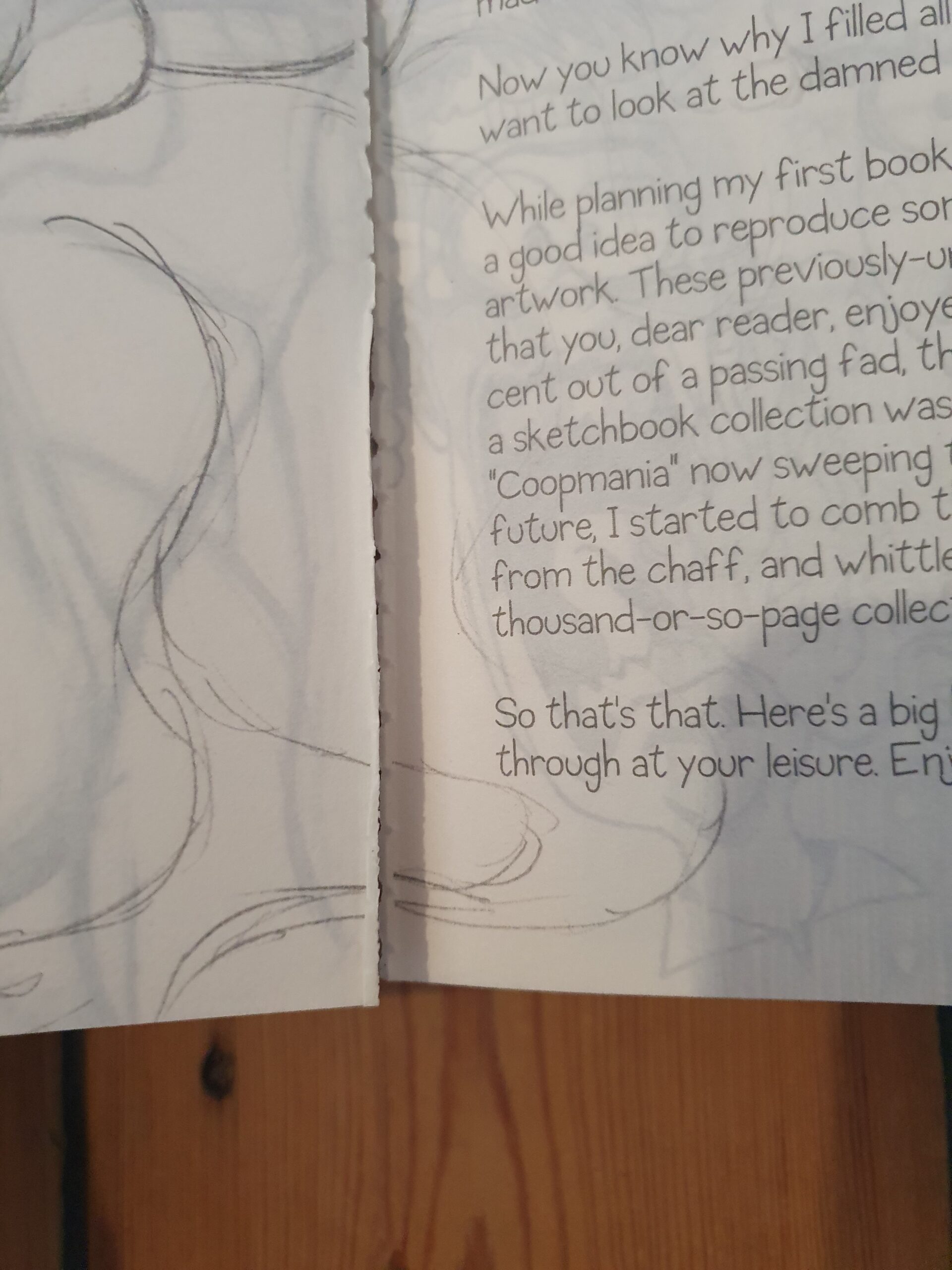 The Big Fat One – The Collected Sketchbooks of Coop – Villumsen