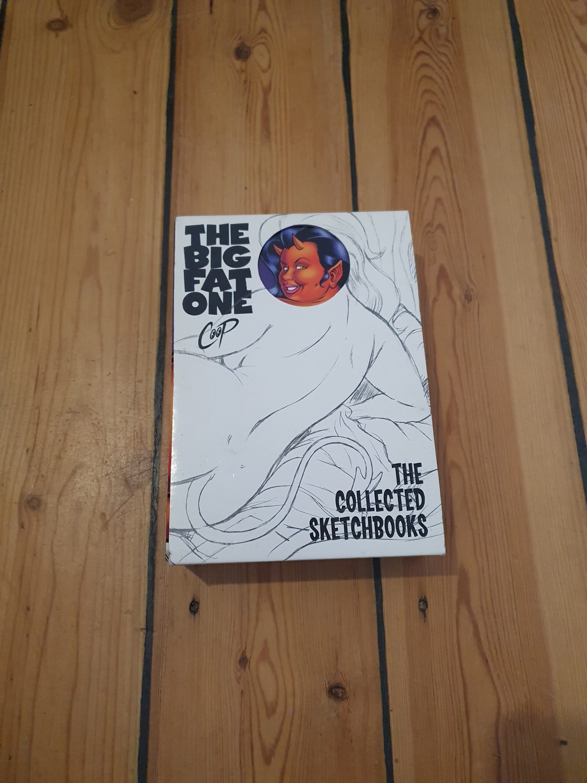 THE BIG FAT ONE：COLLECTED SKETCHBOOKS