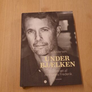Under bjælken - Et portræt af Kronprins Frederik