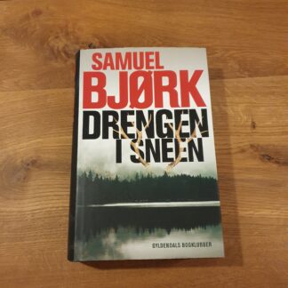 Drengen i sneen.
