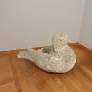 Have fugl til udendørs brug