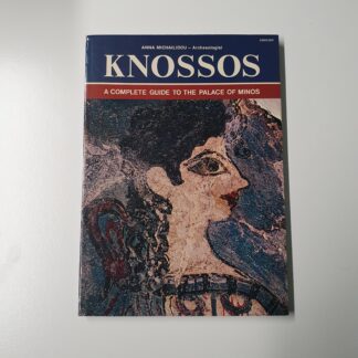 A complete guide to the palace of minds