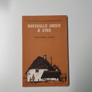 Bakskulld under æ stro