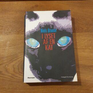 I lyset af en kat