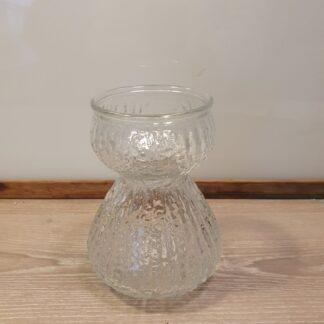 Hyacint glas i klart glas