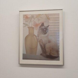 Indrammet vintage plakat af kat