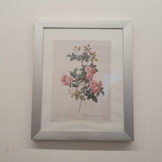 Indrammet billede af blomster